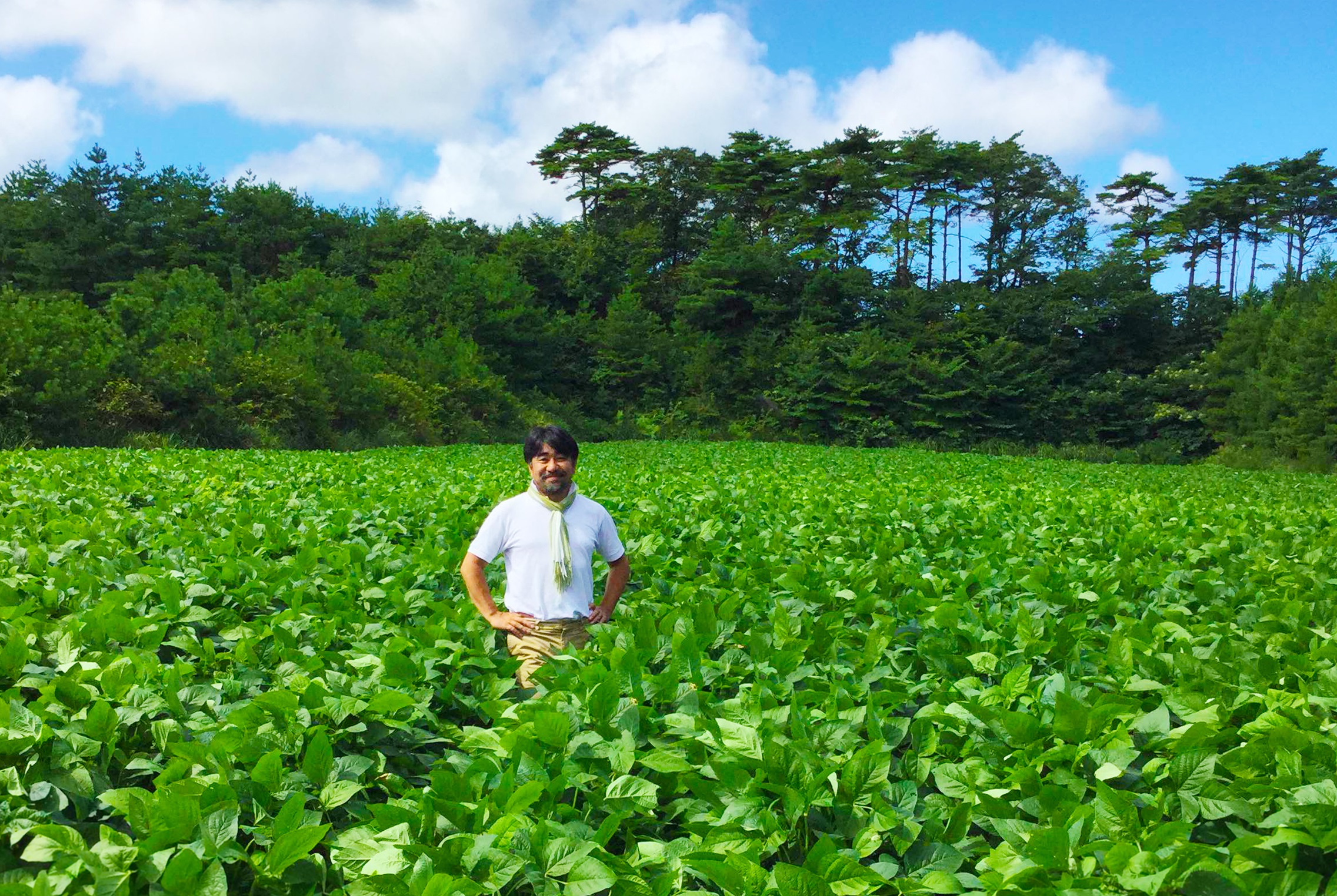 コウノトリが帰ってきた！オーガニックがもたらす喜び | WHY ORGANIC